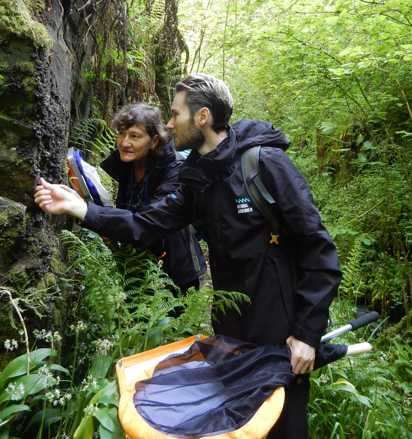 Two scientists investigate insects in a native woodland.