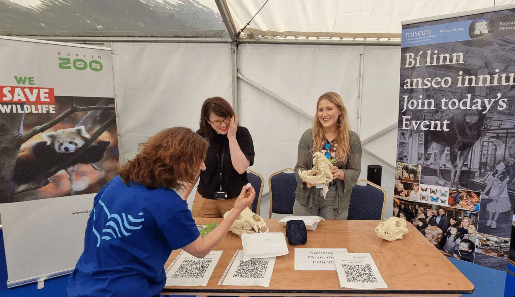 Staff from the National Museum of Ireland present their work at a public stall at Dublin Zoo.
