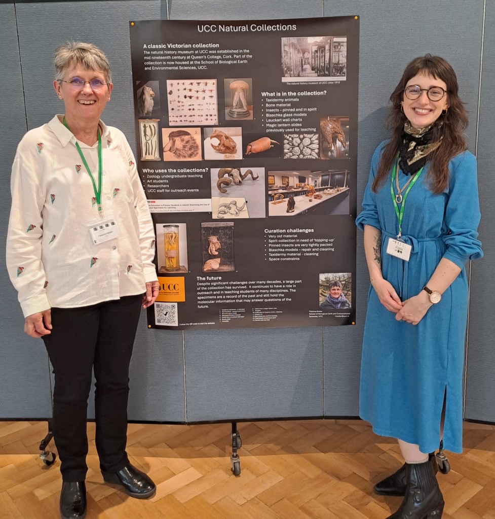 Fidelma Butler and T. Shea Slater, both of University College Cork, at the Natural Sciences Collections Association conference at the Ulster Museum, May 14-15.